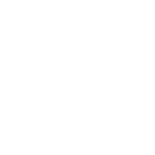 Icon verschiedene Währungen mit Sicherheitssymbol